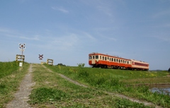 いすみ鉄道と言えば「ココ」‼