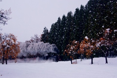 雪景色の小布瀬原！
