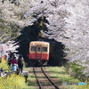 小湊鉄道の飯給（いたぶ）駅の情緒！