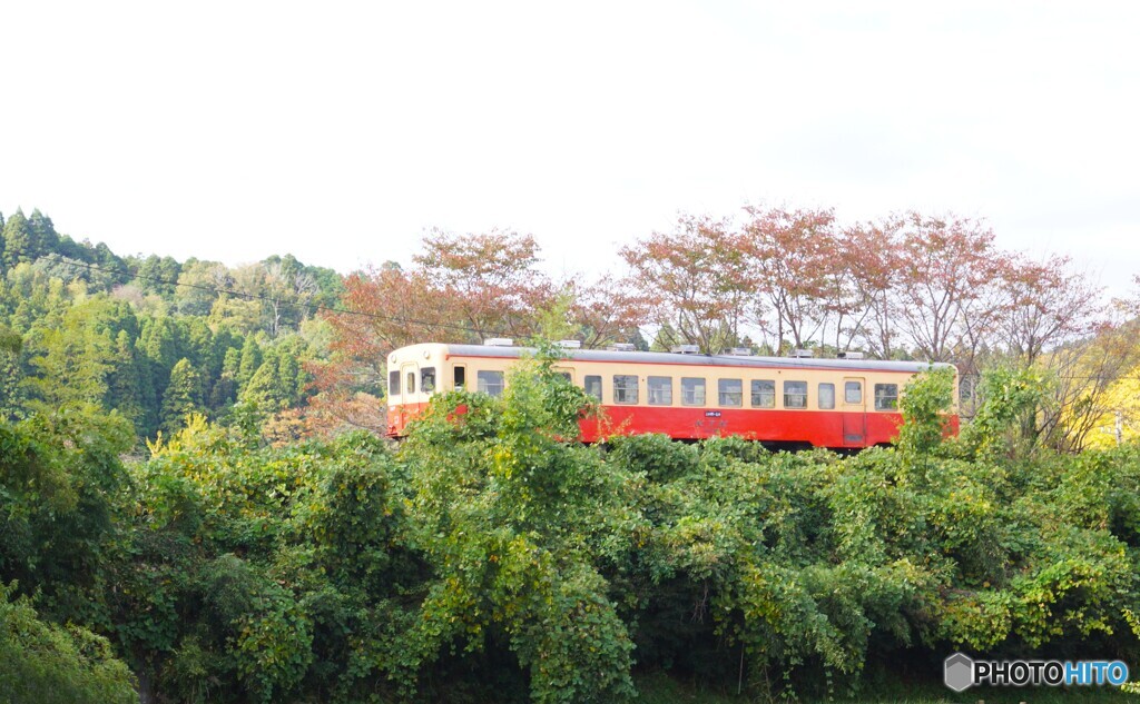 小湊鉄道　里見駅に到着前の築堤！
