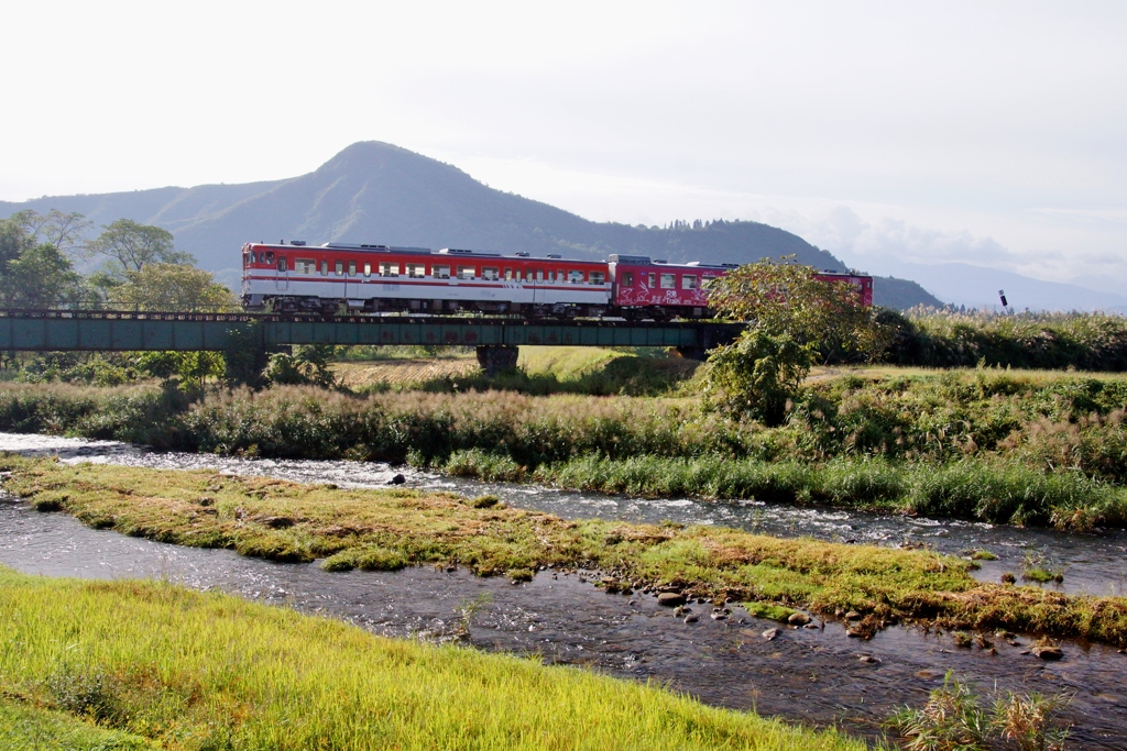 ススキがいっぱい！