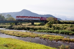 ススキがいっぱい！