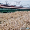 中央線　ホリデー快速「ふじさん」号の送込み回送列車！