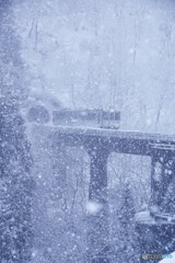 なごり雪！