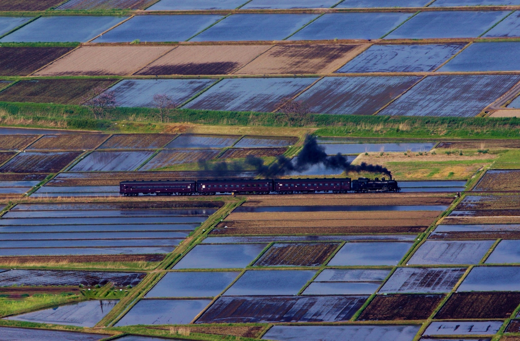 蓋沼森林公園俯瞰