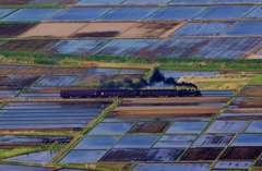 蓋沼森林公園俯瞰