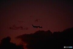 黄昏れ後海ほたるの上空を往く飛行機！