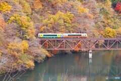 只見線　第３橋梁紅葉！