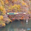 只見線　第３橋梁紅葉！