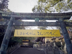 金比羅山参り！