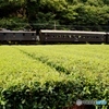 大井川鉄道超レアレトロ編成③