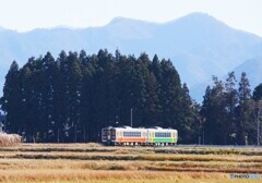 会津盆地を往く小出行きの列車！