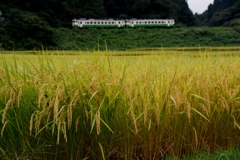 倒れないでね②