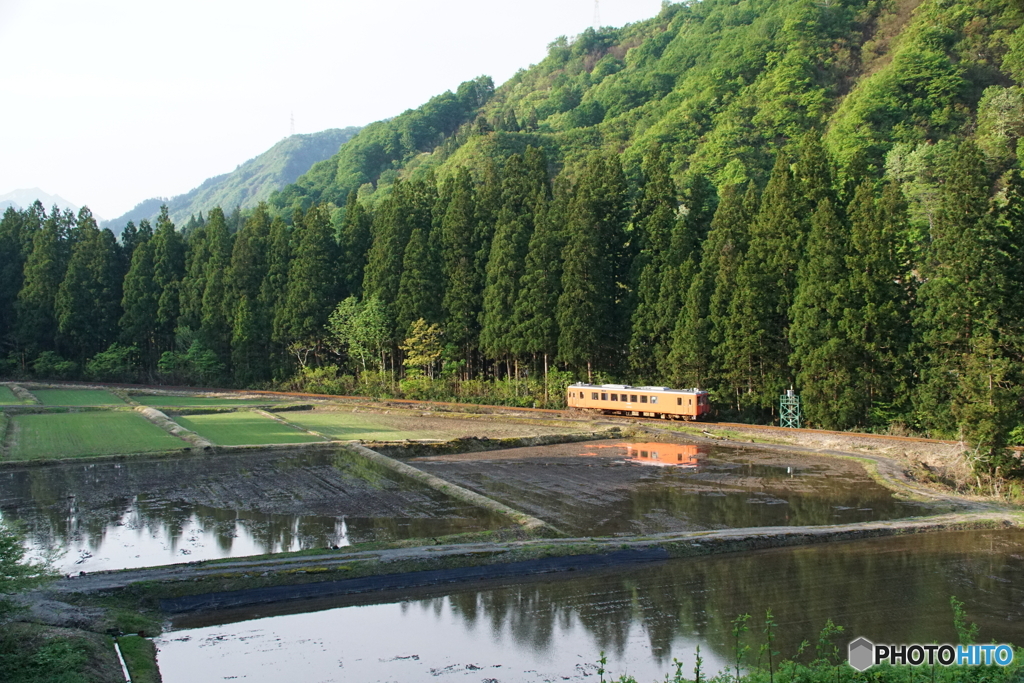 里山を走るキハ110！