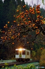 残り柿とキハ110！