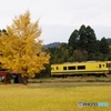 いすみ鉄道のその後！