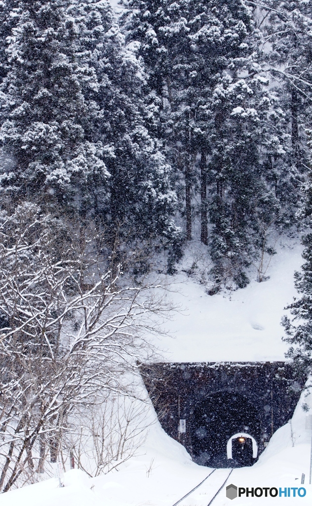 陸羽西線　2026.1.16運転再開！partⅡ