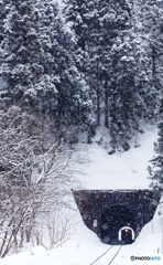 陸羽西線　2026.1.16運転再開！partⅡ