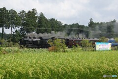 東武鬼怒川線にて実り！