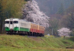 小湊鉄道の春！⑨