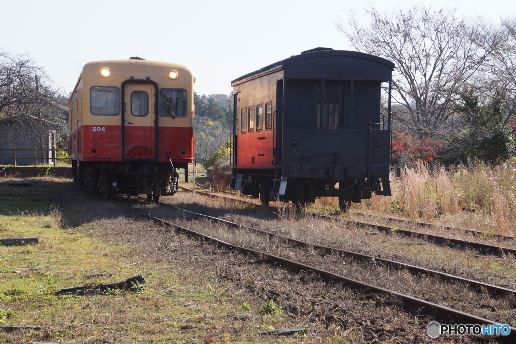 旧い貨車とキハ200の並び！
