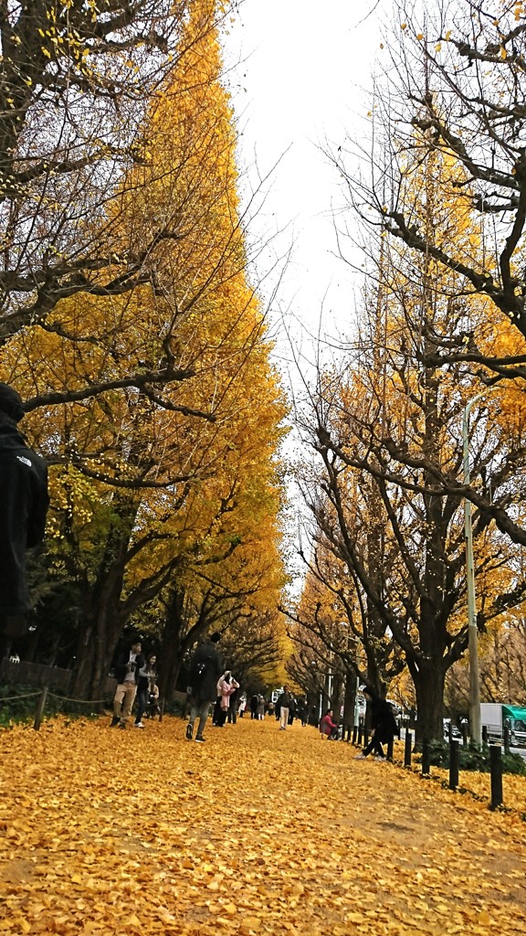 都心の晩秋❗