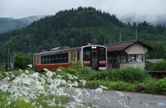 花に囲まれる只見線！