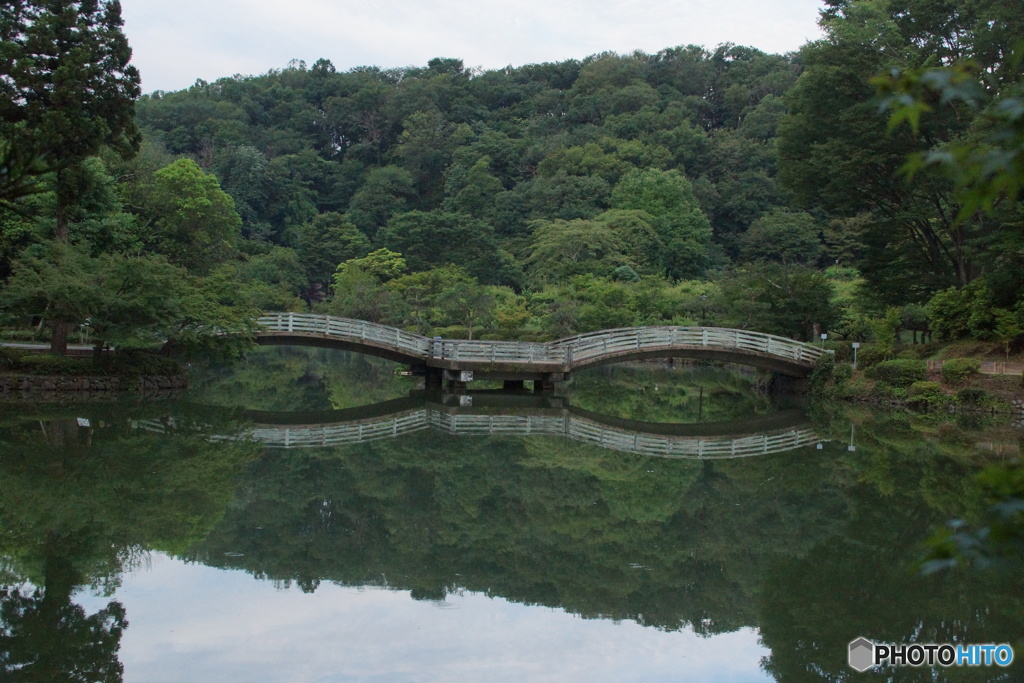 薬師池公園のシンボル！太鼓橋！