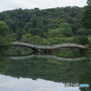 薬師池公園のシンボル！太鼓橋！