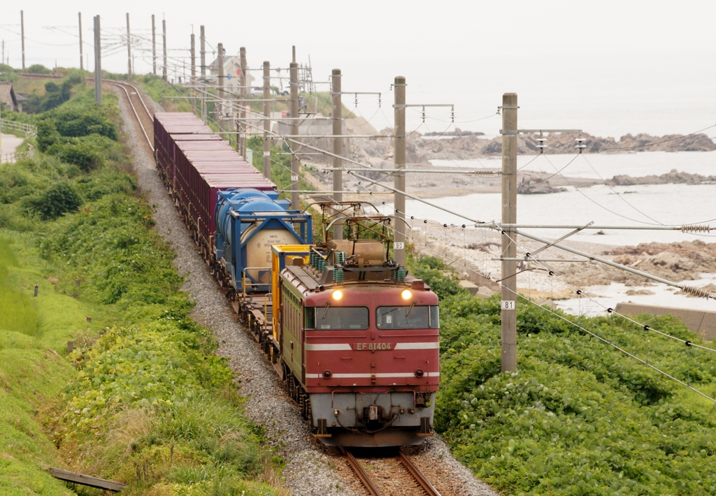 日本縦貫線貨物列車！②