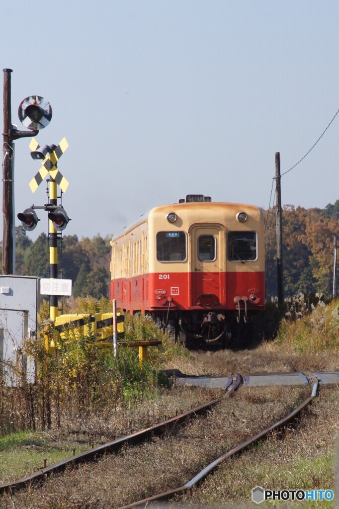 走り去るキハ200！