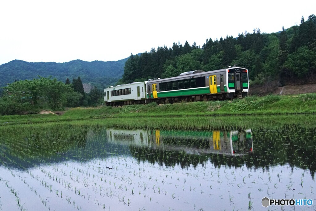早苗の田んぼに映る水鏡！