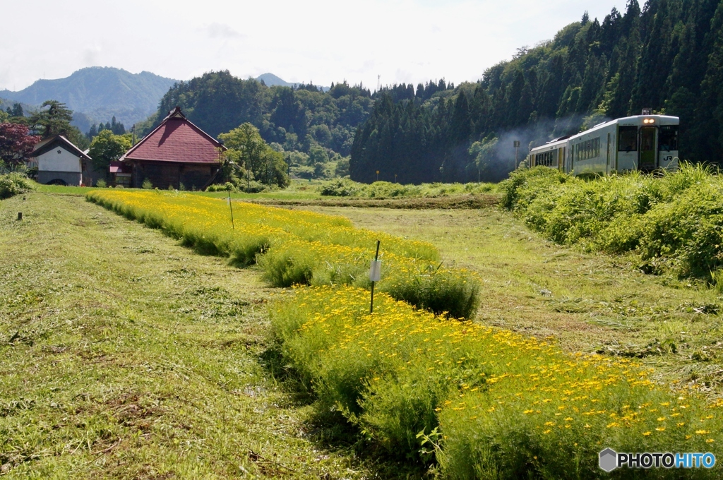 只見線　奥会津、会津横田の田園風景！