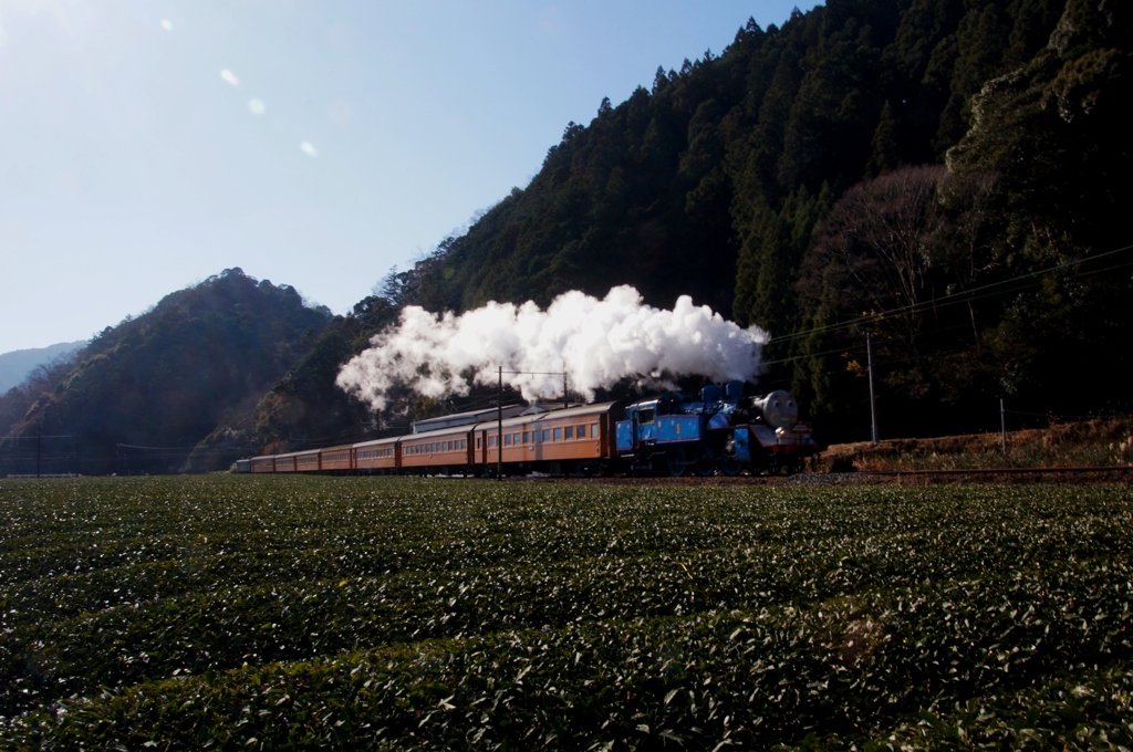 大井川鉄道トーマス号復活！②