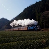 大井川鉄道トーマス号復活！②