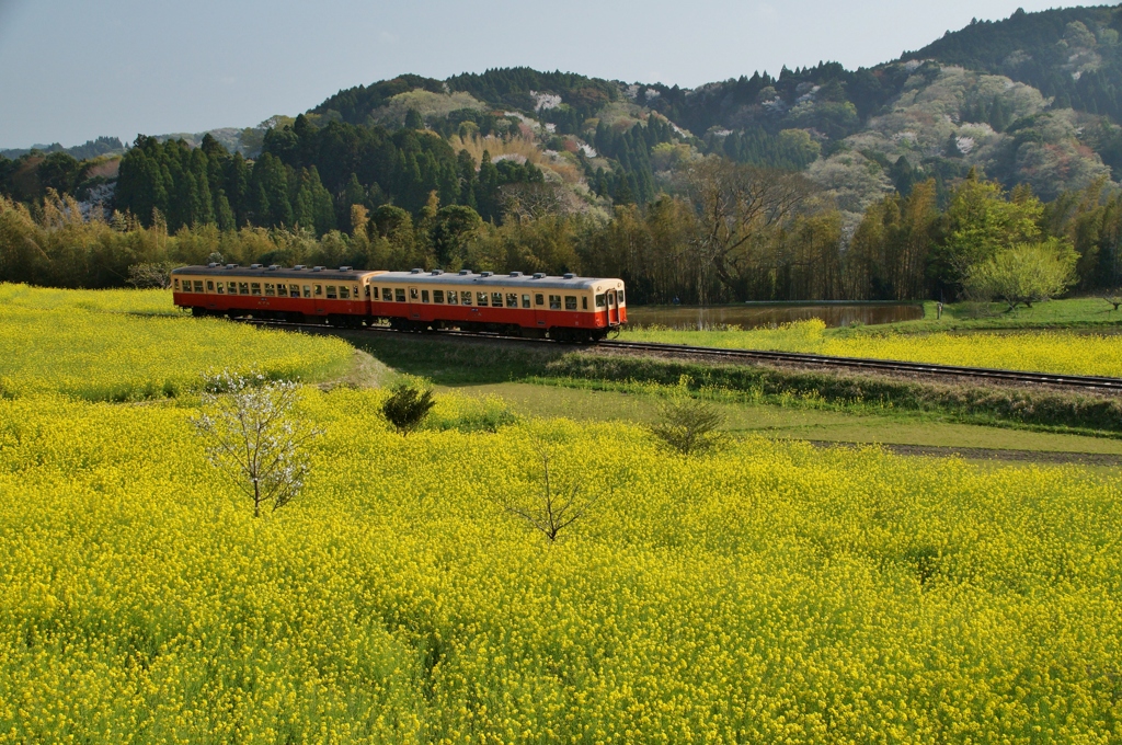 小湊鉄道　石神の丘！