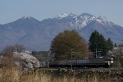 115系スカ色電車の想い出！⑤（完）