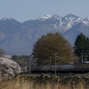 115系スカ色電車の想い出！⑤（完）
