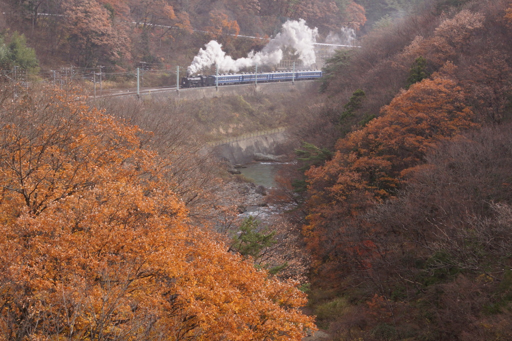 紅葉の水上諏訪峡に踊るSLの煙り！