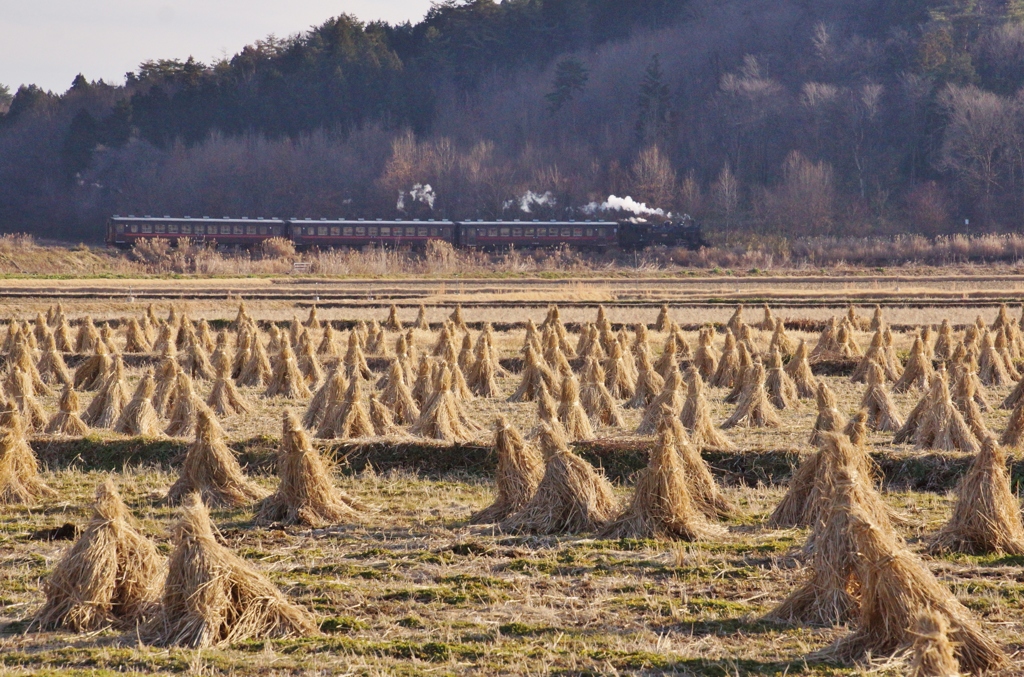 のんびり雰囲気田舎景色！