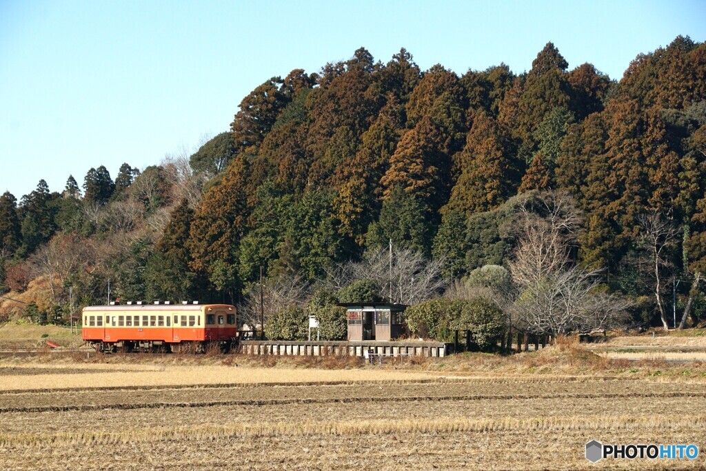 ローカルムード満点！