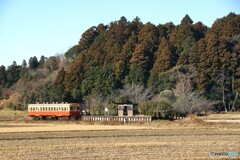 ローカルムード満点！