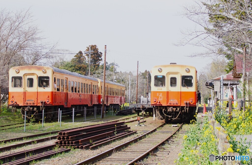 小湊鉄道　古豪キハ顔合わせ！