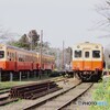 小湊鉄道　古豪キハ顔合わせ！