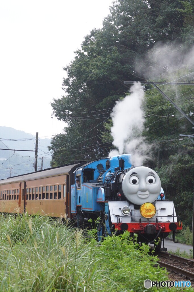 トーマス号ホントのバックビュー！