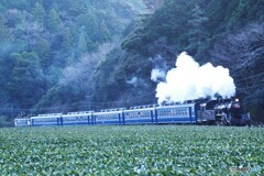 C10-8原型　最終運行！