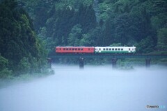 川霧が沸く鉄橋を走る紅白のキハ110！
