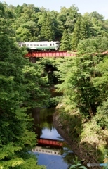 深緑の橋梁とキハ40水鏡！