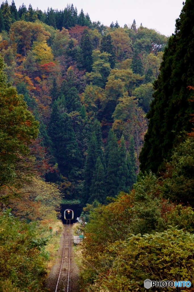 陸羽西線　2026.1.16　運転再開！partⅢ