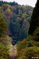 陸羽西線　2026.1.16　運転再開！partⅢ